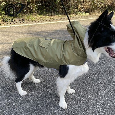 Köpek Dağcılık Yağmurluğu